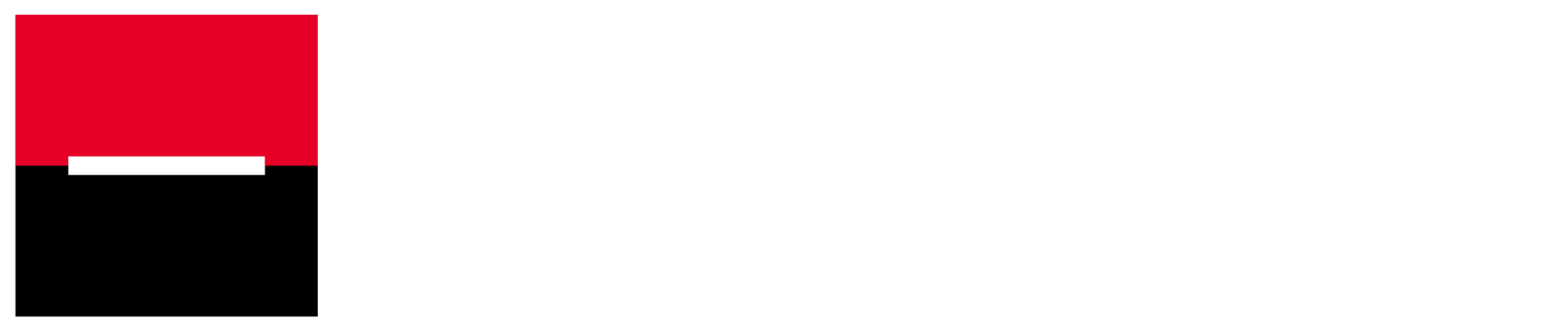 Société Générale Logo